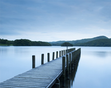 home ad new zealand